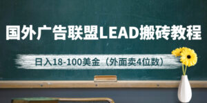 外面卖4位数的国外广告联盟LEAD搬砖教程,日入18-100美金(教程+软件)-流年日记