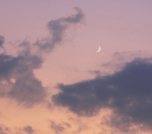 发朋友圈的骚气语录 比较骚气的朋友圈句子-流年日记