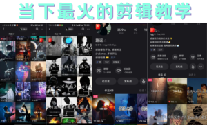 短时视频朦胧诗文案号制作教程,实操7天涨粉20W+小白20分钟看完直接上手-流年日记