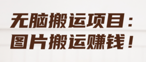 无脑搬运项目:图片搬运赚钱!【视频教程】-流年日记