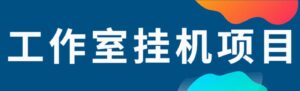 外面收1588的传奇MIR4挂机项目,个人工作室都可以做-流年日记