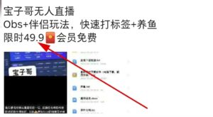 外边卖49.9元的宝子哥无人直播,半无人直播教程,快速打标签+养鱼-流年日记