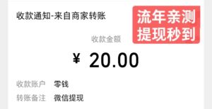 【流年亲测】拼多多一分购平台提现到账,秒到!-流年日记