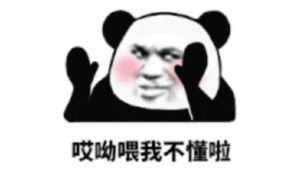 国外视频网站多合一观看下载器+科学上网工具-流年日记