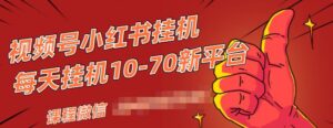 视频号小红书抖音挂机项目 小白无脑操作 按照要求来 单号每天几十米-流年日记