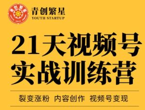 原价298元的张萌21天视频号实战训练营,裂变涨粉、内容创作、视频号变现-流年日记