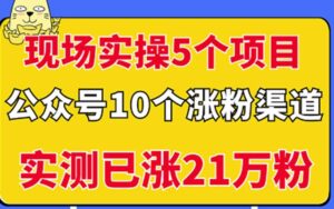 10个涨粉渠道,现场实操5个公众号项目,实测已涨21万粉!-流年日记