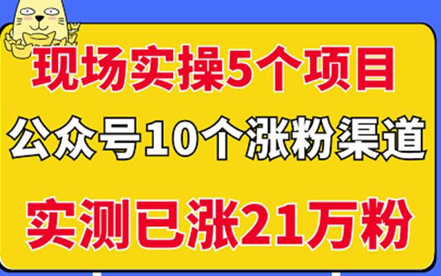 10个涨粉渠道，现场实操5个公众号项目，实测已涨21万粉！-流年日记