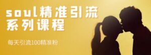 soul精准引流系列课程,每天引流100精准粉-流年日记