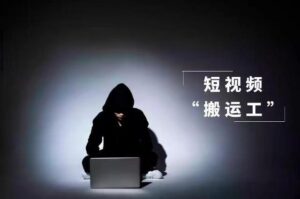 分享一个超简单的视频搬运玩法,人人可做。-流年日记