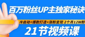 百万粉丝UP主独家秘诀:冷启动+爆款打造+涨粉变现 2个月12W粉(21节视频课)-流年日记