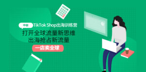 原价3999元的TikTok Shop出海训练营:打开全球流量新思维,出海抢占新流量,一店卖全球-流年日记