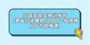 0基础抖音变现实操训练营:打造爆款500W+短视频(26节视频课)-流年日记