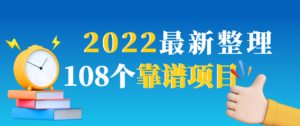 2022最新整理108个热门项目:日入580+月赚10W+精准落地,不割韭菜-流年日记