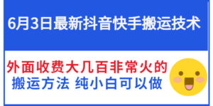 6月3日最新抖音快手搬运技术 外面收费大几百非常火的搬运方法 纯小白可以做-流年日记