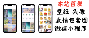 小白0基础搭建微信壁纸头像表情包小程序:一单赚几百【含源码+视频教程】-流年日记