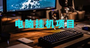 国外电脑挂机平台，有电脑有网就可以赚钱-流年日记