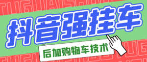 市面上卖299的抖音后挂购物车小黄车技术,大佬都在用-流年日记