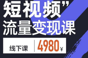 原价4980元的短视频【流量变现】,学成即可上路,抓住时代的红利-流年日记