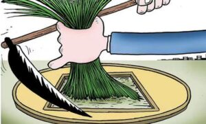 【流年遇见的网络故事】好险!差点被割几千块!-流年日记