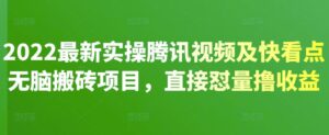2022最新实操腾讯视频及快看点无脑搬砖项目,直接怼量撸收益完整流程-流年日记