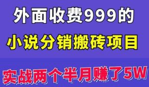 外面收费999的小说分销搬砖项目:实战两个半月赚了5W块,操作简单!-流年日记