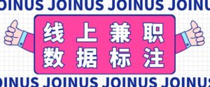 长久稳定的数据标注项目，简单易上手，一天轻松撸几十【详细玩法教程】-流年日记
