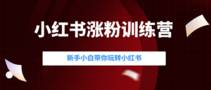 小红书涨粉变现营,21天带你小红书爆款玩法-流年日记