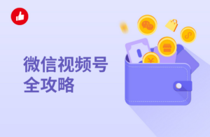 2022最新视频号项目,新手0基础轻松月赚10000+,保姆级教程原价4988元-流年日记