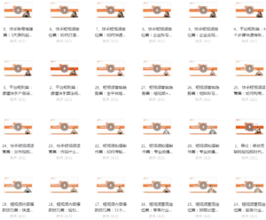 飞橙——快手短视频引流变现全攻略(完结)-流年日记