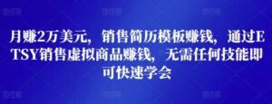 月赚2万美元,销售简历模板赚钱,通过ETSY销售虚拟商品赚钱,无需任何技能即可快速学会-流年日记