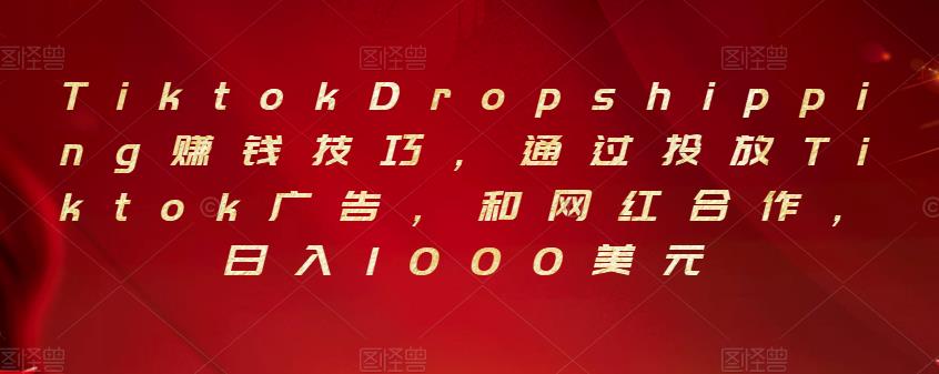 Tiktok Dropshipping赚钱技巧，通过投放Tiktok广告，和网红合作，日入1000美元-流年日记