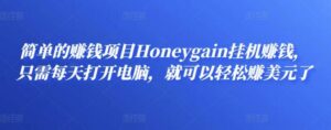 简单的赚钱项目Honeygain挂机赚钱,只需每天打开电脑,就可以轻松赚美元了-流年日记
