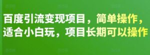 百度引流变现项目，简单操作，适合小白玩，项目长期可以操作-流年日记