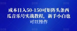 成本日入50-150可矩阵头条西瓜音乐号实战教程,新手小白也可以操作-流年日记