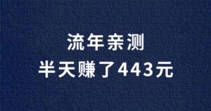 【流年亲测】半天赚了443元,还不需要投资。-流年日记