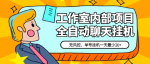 某工作室内部聊天全自动挂机项目,单窗口稳定一天至少20+【永久脚本+详细教程】-流年日记