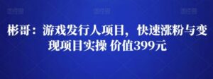 彬哥游戏发行人项目，快速涨粉与变现项目实操 价值399元-流年日记