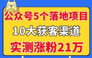 0种矩阵推广方法,获取万粉,量化操作,打破传统项目推广方式!-流年日记