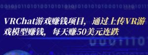 VRChat游戏赚钱项目，通过上传VR游戏模型赚钱，每天赚50美元-流年日记