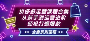 拼多多运营课程合集：从新手到运营进阶，轻松打爆爆款（全套系统课程）-流年日记