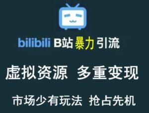 B站暴力引流售卖虚拟资源多重变现法,三剑客让被动收入变得更稳定-流年日记