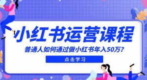 最适合普通人的小红书入门课程:普通人如何通过做小红书年入50万-流年日记