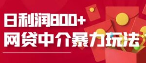 网贷中介暴利赚钱项目,只要愿意花时间去做,一天收入800+没问题-流年日记