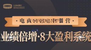【电商TOP特训营】业绩倍增·八大赚钱系统,价值2980元-流年日记