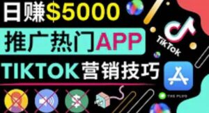 无需露脸,无需录音,无需投资,轻松上传短视频,利用TIKTOK赚钱,最高日入5000美元-流年日记