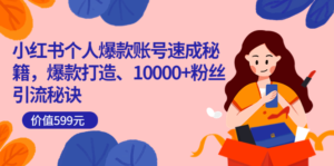 小红书个人爆款账号速成秘籍,爆款打造、10000 粉丝引流秘诀(价值599)-流年日记