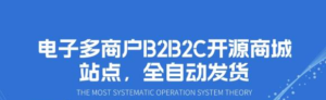 电子多商户B2B2C开源商城站点,全自动发货源码-流年日记
