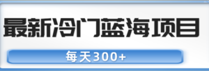 最新冷门蓝海项目，每天300+，纯干货分享【视频教程】-流年日记