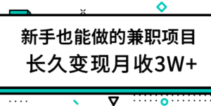 游戏发行人项目,新手小白上手简单,长久变现月收3W+【视频教程】-流年日记